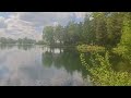 Teich #nature #teich #wasser #bäume #wildlife #video #schön #ruhe