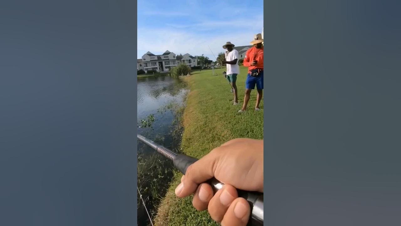 Felt like I was at the zoo or somethin lol grass cares, otters, snakes