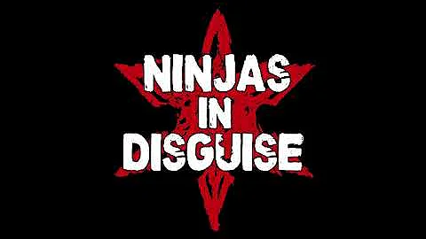 Ninjas in Disguise - Danger