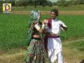 gujarati song