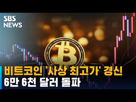   비트코인 사상 최고가 경신 6만 6천 달러 돌파 SBS