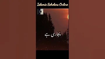 #short status molana tariq Jameel