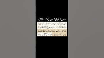 سورة البقرة  من (72 - 73) |القارئ الشيخ : سعد الغامدي#سعدالغامدي #القران_نور_حياتي #القرآن_حياة