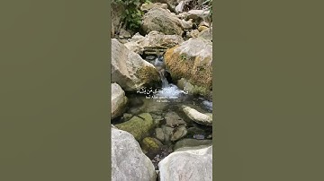 قرآن كريم❣️ #افغانستان #اكسبلور #المغرب #nature #السعودية #لايك #العراق #ترند #مصر #تصويري
