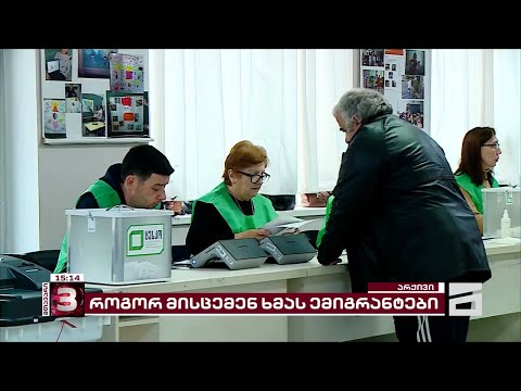 ემიგრანტების სრული მობილიზაცია არჩევნებზე ხმების დასაცავად