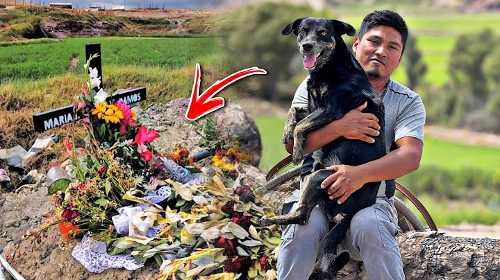 WE ARE LOOKING FOR MAMITA JUSTINA'S FAITHFUL FRIEND AND YOU WON'T BELIEVE WHAT HAPPENED