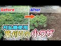 【植木】刈払機を使った草刈りのコツ【やきち流】