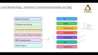 Linux Networking commands(nslookup and dig)