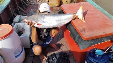 Số Không Vlog - Từ Lúc Đi Câu Cá Bông Lau Đến Giờ Thì Đây Là Video Bất Ổn Nhất