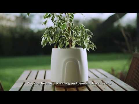 Natede by Vitesy, the most Amazing Smart Natural Air Purifier - Short