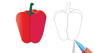 How to Draw a Bell Pepper / Capsicum (Red) - Drawing & Coloring