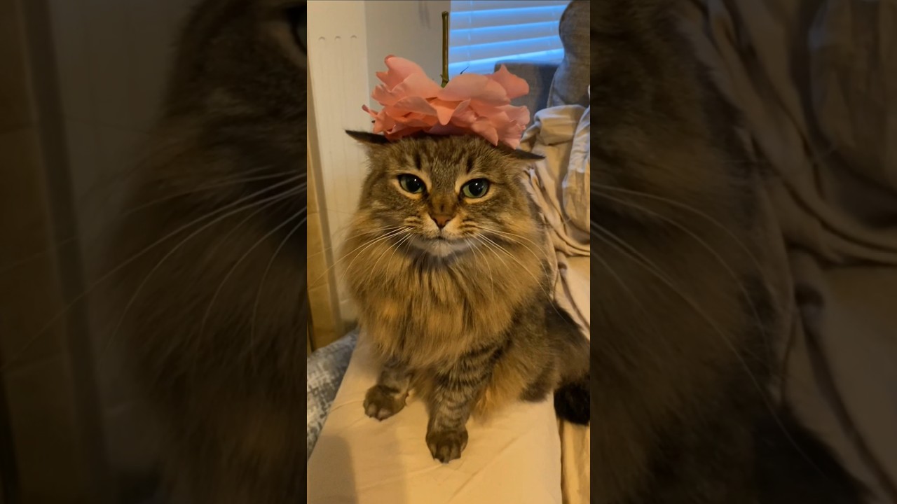 She Is Making A Huge Mess 😂