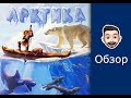 Обзор настольной игры Арктика