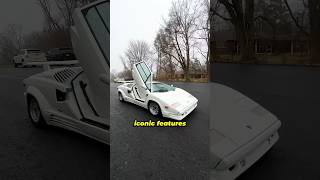 What’s Inside a Lamborghini Countach?
