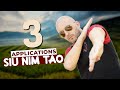 Wing chun  trois applications du siu nim tao