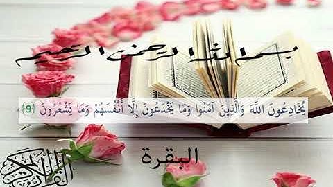 سورة البقرة  يُخَادِعُونَ اللَّهَ وَالَّذِينَ آمَنُوا وَمَا يَخْدَعُونَ إِلَّا أَنْفُسَهُمْ وَ ﴿9﴾