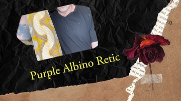 Handling Purple Albino Reticulated Python