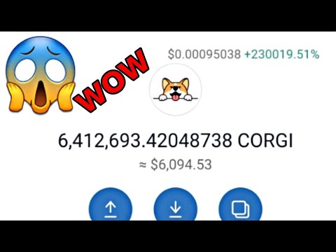 How To Exchange Corgi doge Token | Corgi doge Real Or Scam | How To Withdraw Corgi doge Tokens??