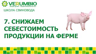 Снижаем себестоимость продукции на ферме