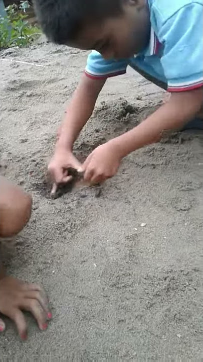 Bermain kelereng guli