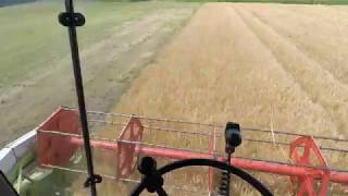 Youngtimer POV Claas Mega 218