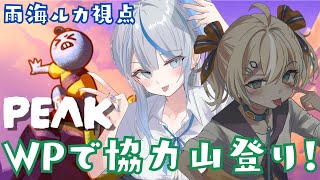 雨海ルカ(あまがいるか)の配信のサムネイル画像