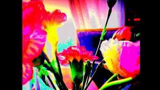 CHARLES - VALENTIN ALKAN - NOTTURNINO INNAMORATO in F sharp Minor, Op.63 no 43