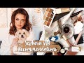 SEPHORA VIB Recommendations | Holiday 2020 | Julia Adams