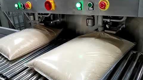 Semi automatic dual head bib bag in box filling machine