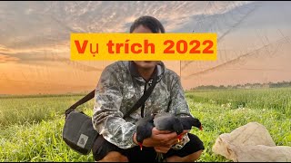 Tiếng trích ré/ Tiếng gọi/ Tiếng đâm loa vụ chiêm 2022