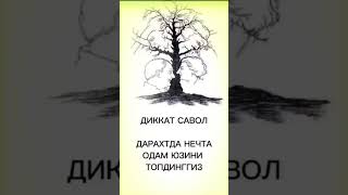 Дарахтда нечта Сурат бор топа оласизми Ман туртасини топаолдим халос сизчи #zakovat #musofir #Uzxit