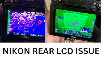 Nikon Z Rear Lcd Not Working - " Nikon Denies Issue"