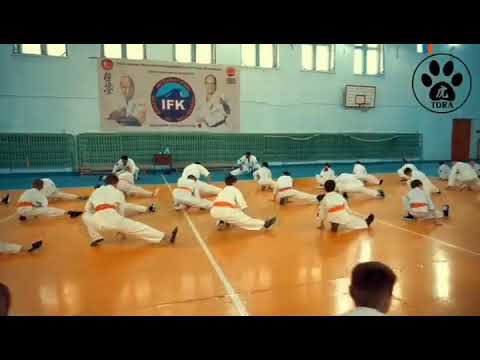 Амурская школа Кекусинкай Шихана Станислава Винокурова video phone beyonce mp3