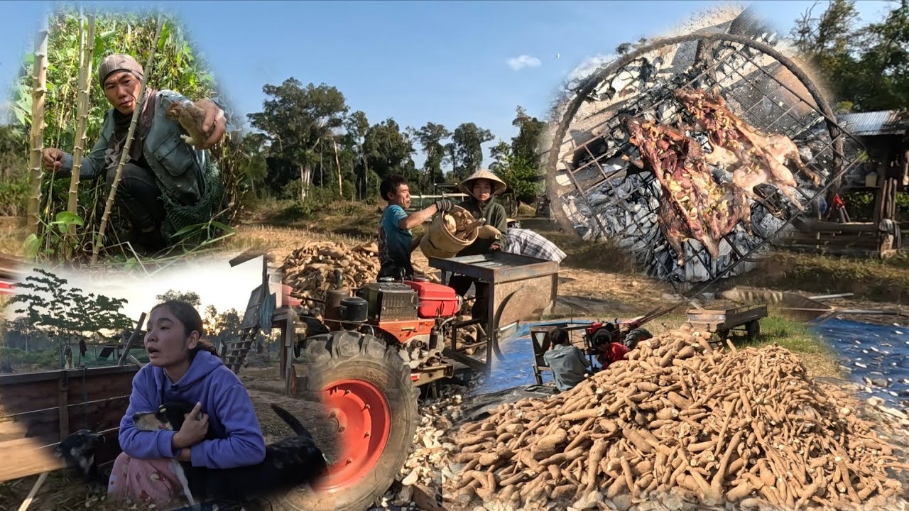 ປັ່ນມັນຕົ້ນກິນປີ້ງຫນູຫມານໆ//ปั่นมันต้นกินปี้งหนูหมานเลีย