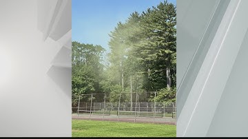 Allergy sufferers dealing with high pollen counts