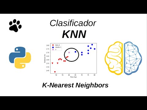 Video: ¿Qué clasificador es mejor en el aprendizaje automático?