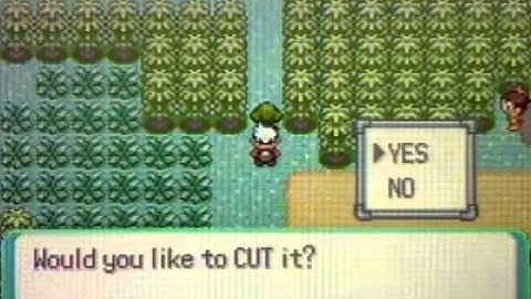 Pokemon Emerald Walkthrough Part 36:Team Aqua and Route 123!