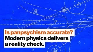 Is panpsychism accurate? Modern physics delivers a reality check. | Dr. Susan Schneider