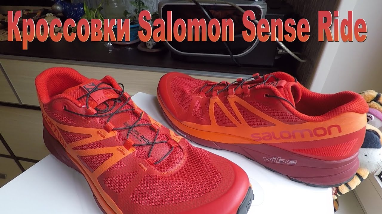 Кроссовки Salomon Sense Ride, обзор и тест