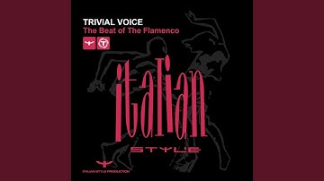 The Beat of the Flamenco (Radio Mix)