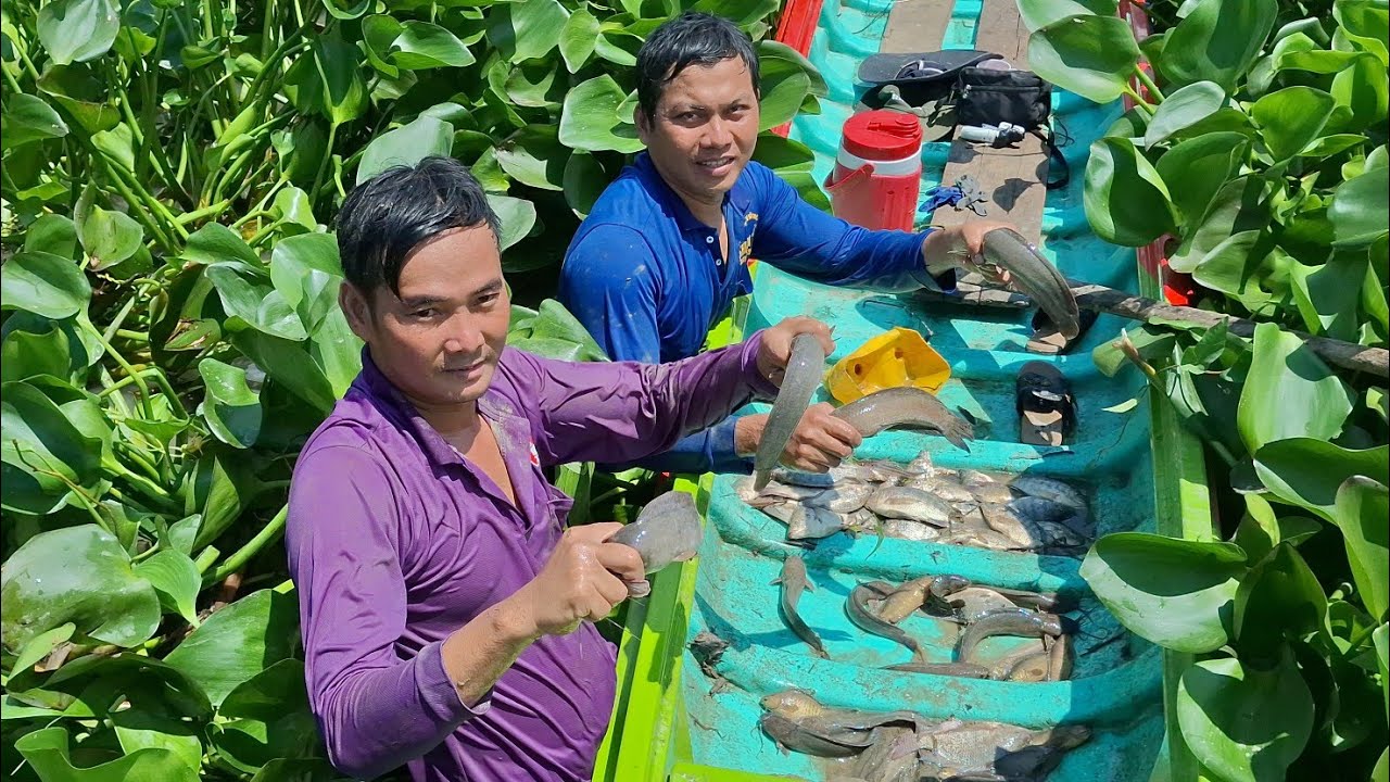 Nấu lẩu mắm cá ăn cùng với cá trê đồng nổ muối giòn rụm sau buổi mò cá trúng mánh của mấy ae /T25