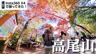 【画質検証】Insta360 X4で紅葉の高尾山を撮ってきた！登り6号路▶もみじ台▶下り4号路