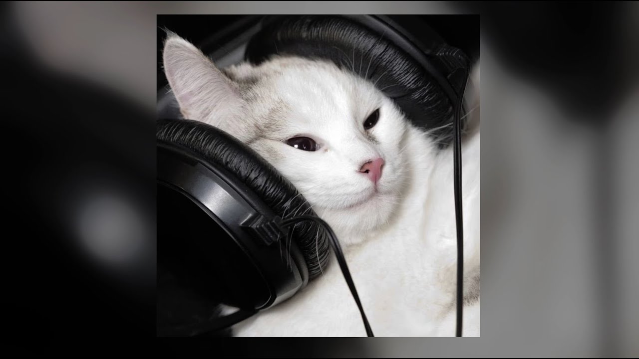 Oliver Tree - Life Goes On (speed up)