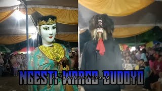 MASTER DAWANGAN MR CENTONG NGAMUK ‼️ NGERTI WARGO BUDOYO LIVE PUCANGREJO GEMUH