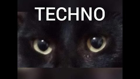 JAVAX   The Signal Original Mix Codex Recordings