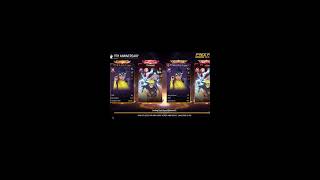 RTG Live Stream