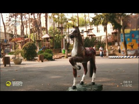 „ზოოპარკის ხის ცხენი“