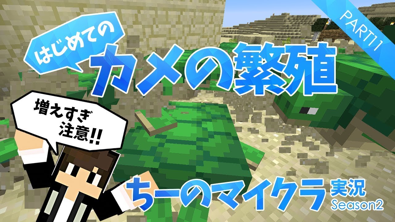 11 マインクラフト カメの繁殖に挑戦 カメのウロコを集めて カメの甲羅 Get ちーのマイクラ実況シーズン2 Youtube