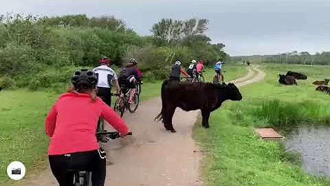 MTB 18 06 2021