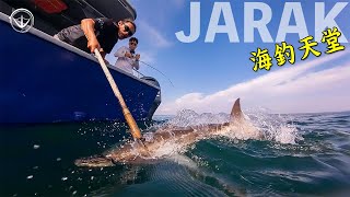 『JARAK上』不可思議的生態！馬來西亞JARAK！釣過會回不去 #鵝大人 #路亞 #馬來西亞 by 那個釣魚頻道 144,607 views 8 months ago 21 minutes